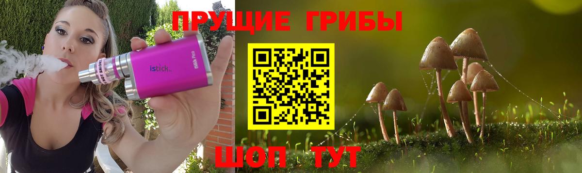 Галлюциногенные грибы GOLDEN TEACHER  Вход с VPN  Псилоцибиновые грибы мицелий  Вязьма 